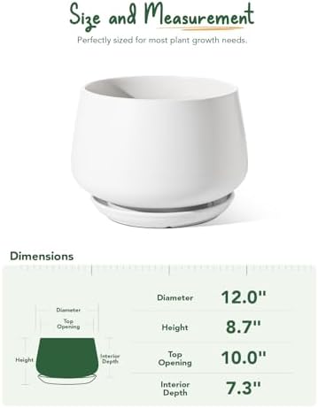 LE TAUCI Ceramic Planter, 12 Inch, Large Plant Pot, Indoor Plant Pot, White - Image 6