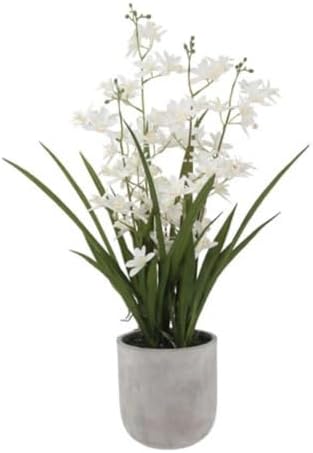 CG Hunter, Faux Vanda Orchid Plant, 26 in, White, Home Decor by CGHunter
