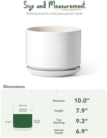 LE TAUCI 10 inch Plant Pot, Ceramic Pots for Plants, White - Image 5