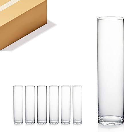 WGVI Quality Thick Weighted Clear Cylinder Glass Vases, 3" W x 12" H, Skinny Bud Vase Narrow Floral Bouquet Flower Arrangements Storage Container Candle Holders Decorative Accents, 6 Pieces by WGVInternational-OpusGlassware