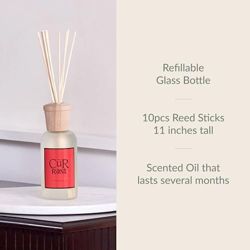 Archipelago Botanicals Currant Reed Diffuser, Includes Fragrance Oil, Decorative Wooden Cap and 10 Diffuser Reeds, Perfect for Home, Office or a Gift (7.85 fl oz) - Image 3