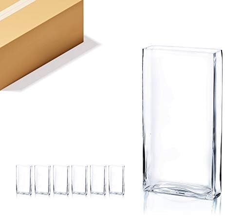 WGV Tall Rectangle Block Vase Bulk, Width 6", Length 2", Height 12", Clear Glass Floral Container Wedding Party Event Home Office Decor, 6 Pieces by WGVInternational-OpusGlassware
