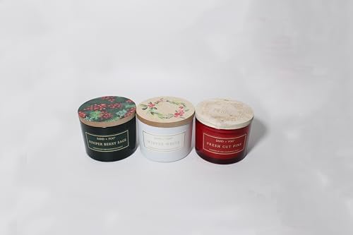 Sand + Fog Scented Candle - Fresh Cut Pine – Additional Scents and Sizes – 100% Cotton Lead-Free Wick - Luxury Air Freshening Jar Candles - Perfect Home Decor – 12oz … - Image 6