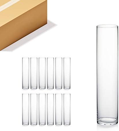 WGVI Quality Thick Weighted Tall Clear Cylinder Glass Vases, 4" W x 18" H, Flower Arrangement Floating Candle Holders Wedding Centerpieces Event Floral Container Display Decor, Bulk Wholesale, 12 Pcs by WGVInternational-OpusGlassware