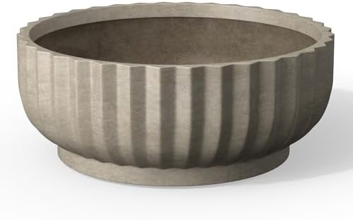 Kante Accent Round Shallow Weathered Concrete Planter 14.6" Dia, Outdoor by Unknown