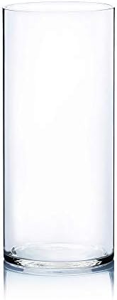 WGV Cylinder Vase, Width 7", Height 16", Clear Wide Large Diameter Flower Glassware, Floral Container, Planter Terrarium for Wedding Party Event, Home Accent Decor, 1 Piece by WGVInternational-OpusGlassware