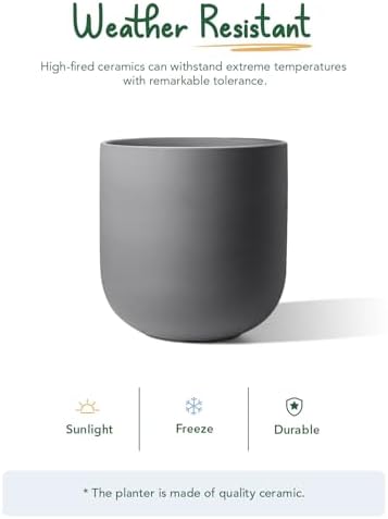 LE TAUCI 10 Inch Plant Pot, Ceramic Pots for Plants, Charcoal Gray - Image 6
