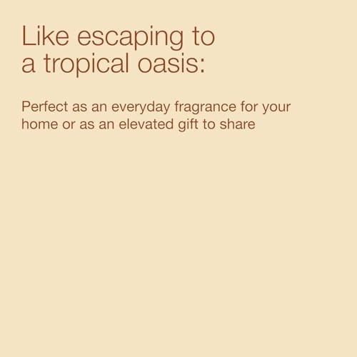 Bath & Body Works 3-Wick Candle, Cactus Blossom, Soy Wax Blend - Image 7