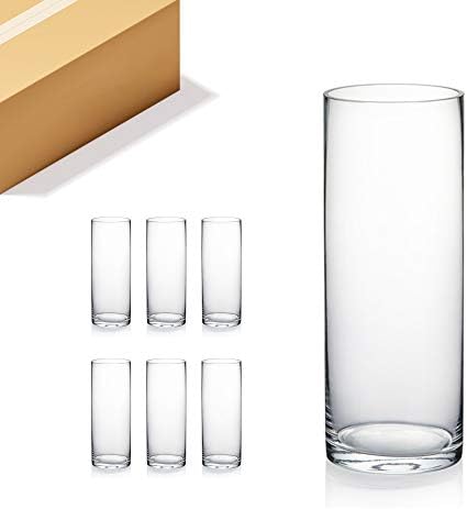 WGVI Quality Thick Clear Cylinder Glass Vases, 3" W x 8" H, Bud Vase Skinny Narrow Floral Bouquet Flower Container for Wedding Centerpieces Tabletop Décor Brush Pen Holder, Bulk Wholesale, 6 Pieces by WGVInternational-OpusGlassware