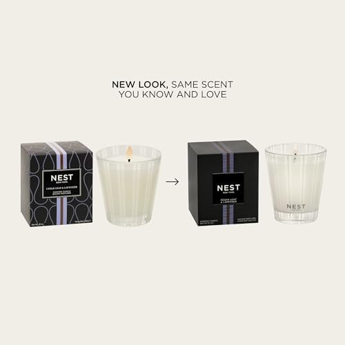 NEST New York Scented Classic Candle, Cedar Leaf & Lavender - 8.1 oz - Up to 60-Hour Burn Time - Reusable Glass Vessel - Image 2
