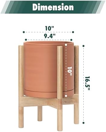 D'vine Dev Terracotta Pot with Natural Wood Stand, 10 in, 55-B-K-5 - Image 3