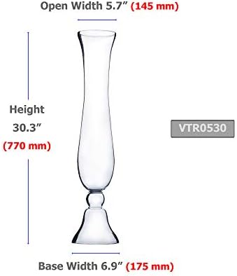 WGV Trumpet Glass Vase Bulk, Open Width 5.7", Height 30", (Multiple Sizes Choices) Clear Large Floral Planter Centerpiece, Wedding Event Home Decor, 2 Pieces (VTR0530) - Image 2