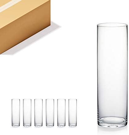 WGVI Quality Thick Weighted Clear Cylinder Glass Vases, 3" W x 10" H, Flower Bud Vase Skinny Narrow Floral Bouquet Container Centerpieces Tabletop Pen Brush Holder, Bulk Wholesale, 6 Pieces by WGVInternational-OpusGlassware