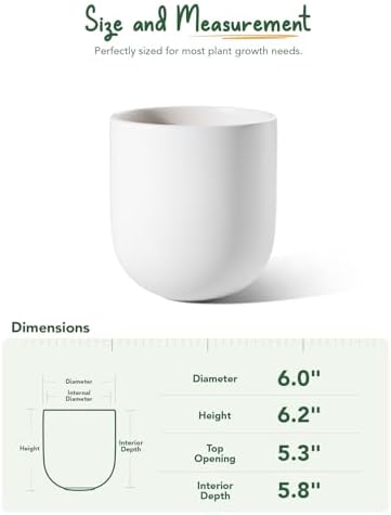 LE TAUCI 6 Inch Ceramic Plant Pot, Small Indoor Planter, White - Image 5