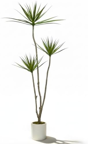 5.2FT Artificial Dracaena Marginata Tree for Indoor Outdoor Decor by Unknown