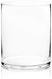 WGV Cylinder Vase, Width 8", Height 10", Clear Wide Large Diameter Flower Glassware, Floral Container, Planter Terrarium for Wedding Party Event, Home Accent Decor, 1 Piece by WGVInternational-OpusGlassware