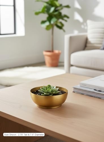 Serene Spaces Living Lightweight Antique Brass Bowl, Table Centerpiece Styling, Elegant Home Accent for Aesthetic Tables, Mantels, and Shelves, Decorative Display, 2.75" Tall & 7.5" Diameter, Pack 6 - Image 3
