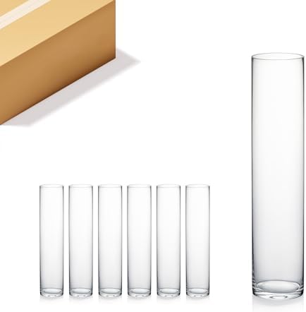 WGVI Quality Thick Weighted Tall Clear Cylinder Glass Vases, 4" W x 18" H, Flower Arrangement Floating Candle Holders Wedding Centerpieces Event Floral Container Display Decor, Bulk Wholesale, 6 Pcs by WGVInternational-OpusGlassware