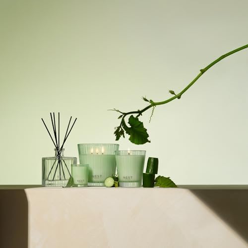 NEST New York Reed Diffuser, Cucumber & White Sage - The Wellness Collection - 5.9 fl oz - Fragrance for Up to 90 Days - Reusable, Refillable Glass Holder - Includes 8 All-Natural Reed Sticks - Image 4