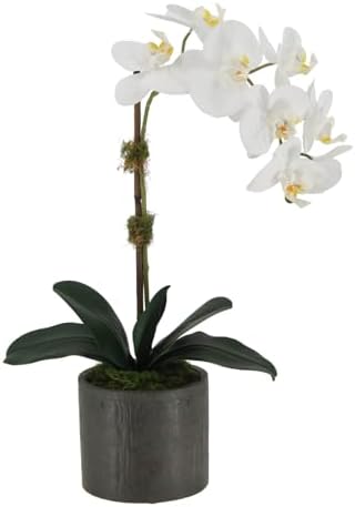 CG Hunter, Faux Phalaenopsis White Orchid Plant, 21 in, White, Home Decor by CGHunter