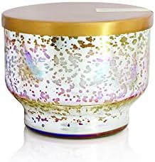 Capri Blue Pineapple Flower Scented Candles for Home - Mercury Iridescent Inverted Jar Candles - Housewarming Gifts for Women & Men - Long Burning Soy Wax Blend - Capri Blue Pineapple Flower (10 oz) by Unknown