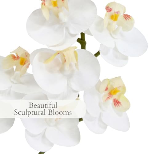 CG Hunter, Faux White Orchid Plant, 24 in, Grey, Home Decor - Image 3