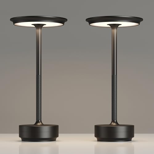 TBBGA 2 Pack Rechargeable Table Lamps Cordless, 5000mAh Outdoor Table Light by TBBGALEDCordlessTableLamps