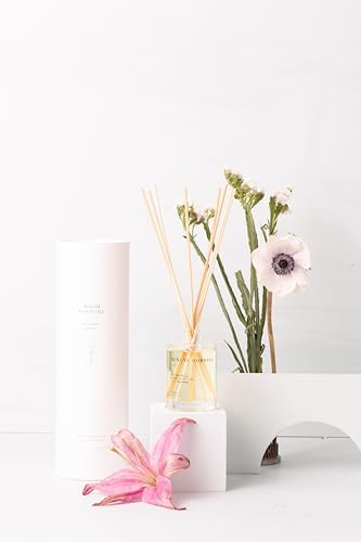 Brooklyn Candle Studio Reed Scent Diffuser - Sunday Morning - Relaxing Oil Diffuser, Pear, Jasmine & Amber Fragrance, 8 Rattan Diffuser Reeds, Clean Ingredients - 3.7oz - Image 4
