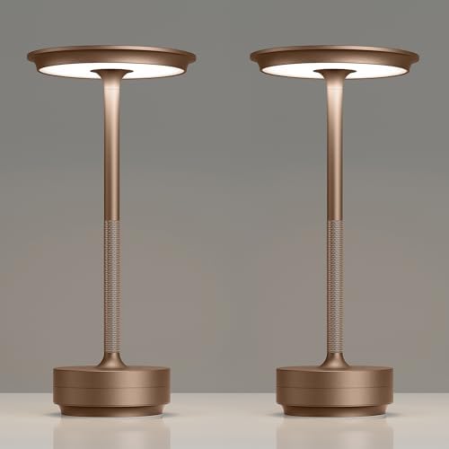 TBBGA 2 Pack Rechargeable Table Lamps Cordless, 5000mAh Outdoor Table Light by TBBGALEDCordlessTableLamps