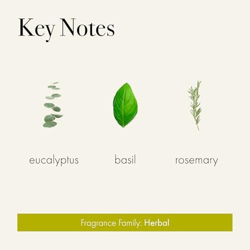 LAFCO New York Reed Diffuser Refill, Rosemary Eucalyptus - 8.4 oz - Up to 4-Month Fragrance Life - Includes Natural Wood Reeds - Free of Dyes & Propellants - Made in the USA - Image 3