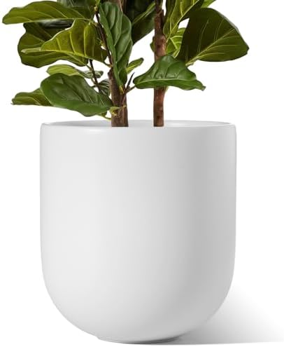 LE TAUCI 12 Inch Ceramic Pots for Plants, Large Planter, White by LETAUCI