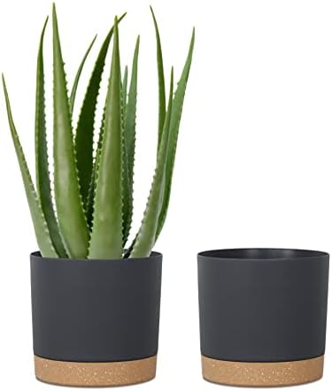 kubvici Plant Pots for Indoor Plants, 2 Pack 10 Inch Plant Pot(10" Black) by kubvici