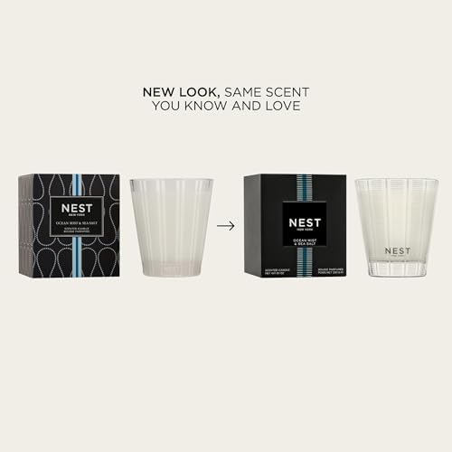 NEST New York Scented 3-Wick Candle, Ocean Mist & Sea Salt - 21.2 oz - Up to 100-Hour Burn Time - Reusable Glass Vessel - Image 2