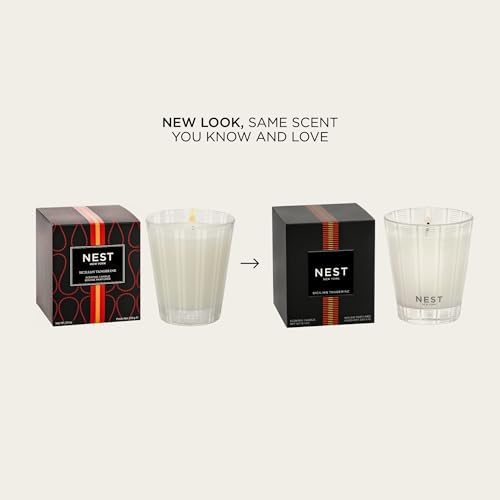 NEST New York Scented Classic Candle, Sicilian Tangerine - 8.1 oz - Up to 60-Hour Burn Time - Reusable Glass Vessel - Image 2
