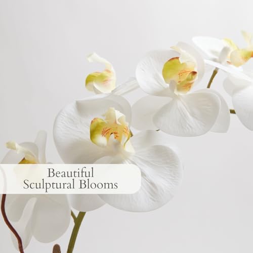 CG Hunter, Faux White Orchid Plant, 25 in, Grey, Home Decor - Image 3