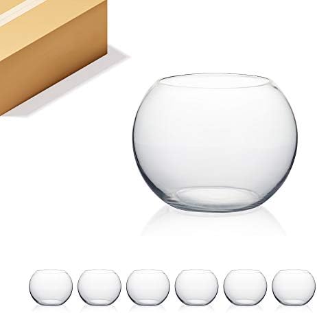 WGV Bowl Glass Vase Bulk, Diameter 8", Height 6", Open Width 5", (Multiple Sizes Choices) Clear Bubble Planter Terrarium Fish Bowl for Wedding Event Home Decor, 6 Pieces (VBW0008A) by WGVInternational-OpusGlassware