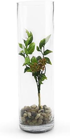 WGVI Quality Thick Weighted Tall Clear Cylinder Glass Vases, 4" W x 14" H, Flower Arrangement Floating Candle Holders Wedding Centerpieces Floral Container Home Decor, Bulk Wholesale, 6 Pcs - Image 4