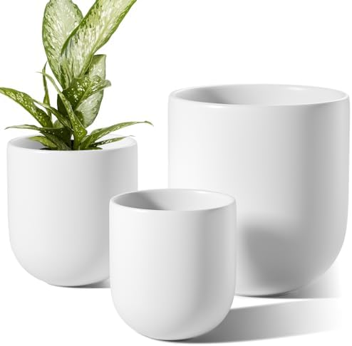 LE TAUCI 6, 8 & 10 Inch Ceramic Planter Set for Indoor Plants, White by LETAUCI