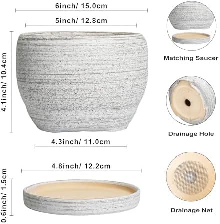SQOWL Ceramic Planters for Indoor Plants - 6 Inch Plant Pot with Drainage Hole and Saucer, Small Ceramic Flower Pot, Round Decorative Planter Outdoor, Living Room Decor, Garden Gifts for Women, Gray - Image 3