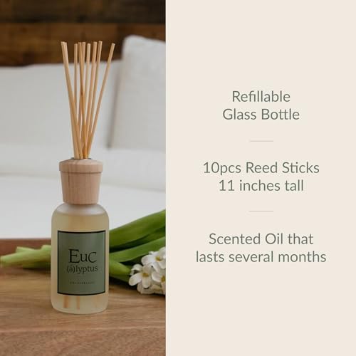 Archipelago Botanicals Eucalyptus Reed Diffuser, 7.85 fl oz - Image 3