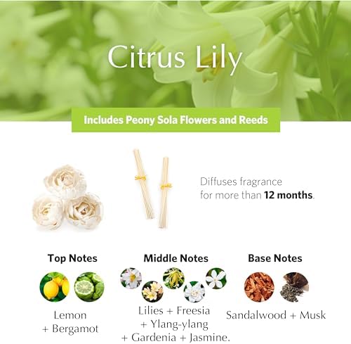 AGRARIA Citrus Lily AirEssence Reed Diffuser Set, 7.4 fl oz - Image 3