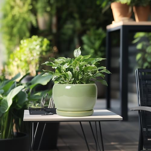 SQOWL 8 Inch Plant Pot - Ceramic Planters with Drainage Hole and Tray, Round Flower Pot for Indoor Plants, Modern Decorative Planters Outdoor, Garden Decor, Housewarming Gifts, Green - Image 5
