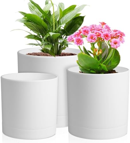 Meowell 6/5/4 inch Flower Pots, Pack of 3 Cylinder Plant Pots for Small Indoor Outdoor Plants, Plastic Planters with Drainage Holes and Saucers for Garden Succulent Nursery House Plants, White by Meowell