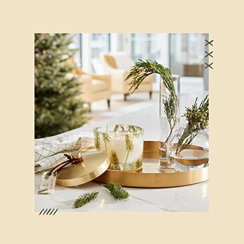 Thymes Heritage Pine Needle Candle - Scented Candle - Luxury Home Fragrance - Home Decor & Bathroom Accessories - Frasier Fir Pine Scent - 11.5 Oz - Frasier Fir - Image 6