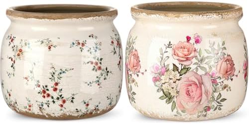 2 Pcs Vintage Planter Ceramic Plants Pot with Drainage Ice Crack Scroll Flower Vase Pot for Indoor Outdoor Plants Home Kitchen Decor Gifts(Farmhouse Rose,5.9") by Unknown
