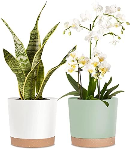 kubvici 8'' Plastic Flower Planter Pots Set of 2 Indoor Outdoor Planters with Drainage Saucer for Garden Home (Green & White, 8 inch) by kubvici