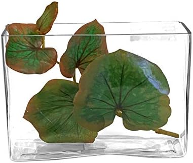 WGV Long Rectangle Block Vase, Width 3", Length 10", Height 7", Clear Glass Floral Container Wedding Party Event Home Office Decor, 1 Piece - Image 3