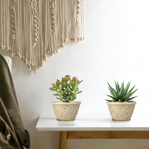 Nooulap 8 Inch Plant Pot, Beige Flower pots, 4 Pack - Image 5
