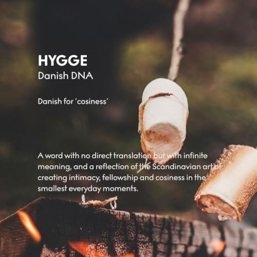 SKANDINAVISK Scented Candle, Hygge(Cosiness), 2.3 Ounce - Image 3