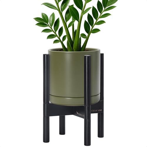 D'vine Dev Ceramic Pot with Ebony Wood Stand, Olive, 8 in, 55-B-M-J by DvineDevPlanterPotsandStand
